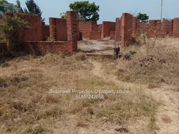 Huge Potential Endless Possibilities