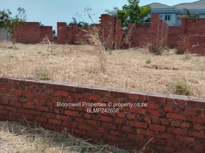 Huge Potential Endless Possibilities