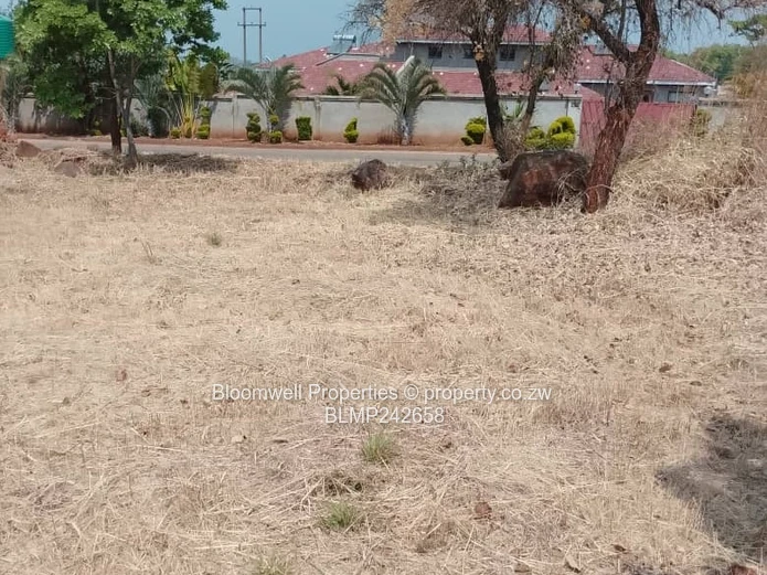 Huge Potential Endless Possibilities