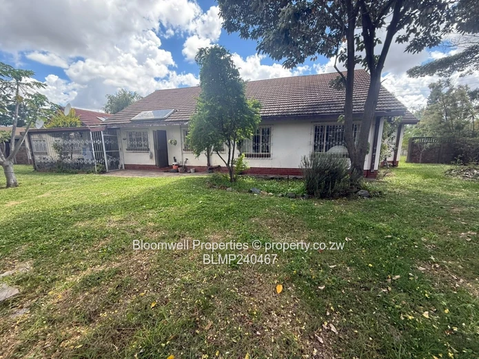 Renovators Dream With Huge Potential