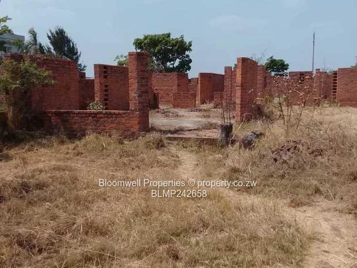 Huge Potential Endless Possibilities