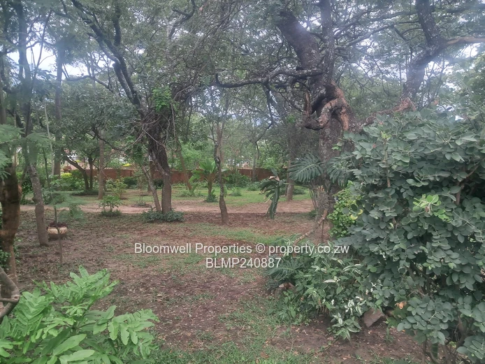 Fully furnished home in Kambanji - Shared Property