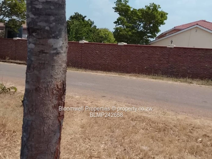 Huge Potential Endless Possibilities