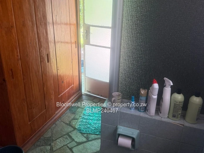 Renovators Dream With Huge Potential