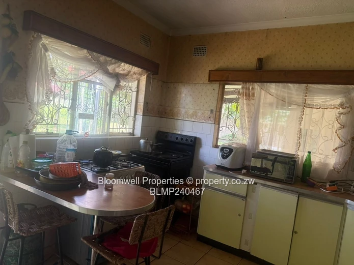 Renovators Dream With Huge Potential