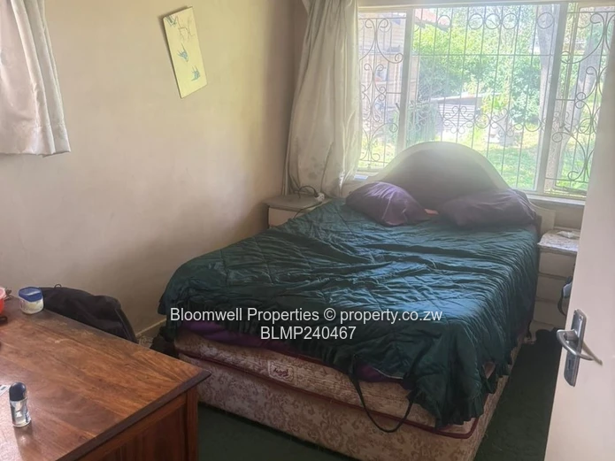 Renovators Dream With Huge Potential