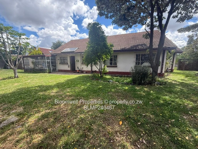 Renovators Dream With Huge Potential