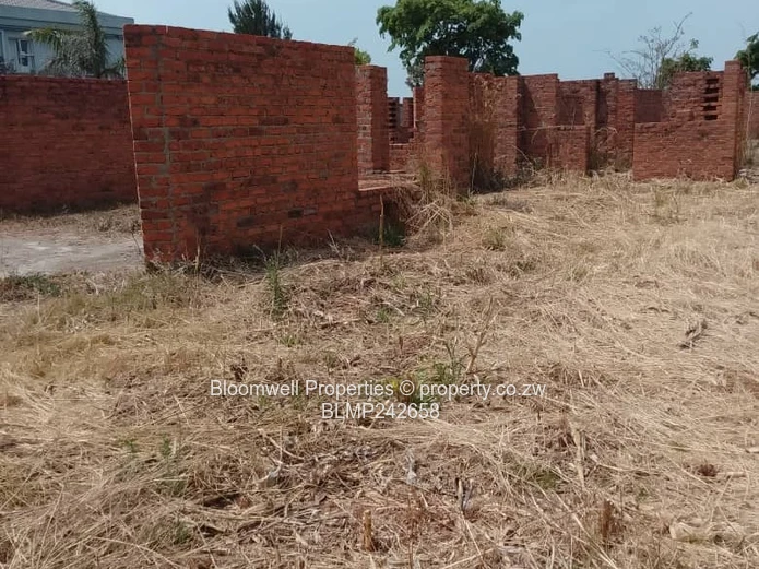 Huge Potential Endless Possibilities